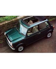 CAPOTE BRITISH OPEN TOIT OUVRANT VERTE SOUS FACE NOIRE ALPAGA