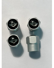 BOUCHONS DE VALVE LOGO MINI  X4